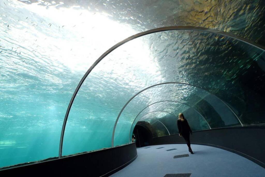 LA PERLE MARINE :Boulogne sur mer Extérieur photo