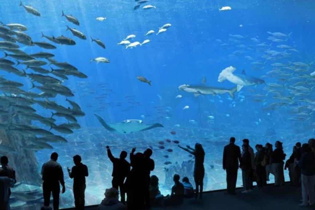 LA PERLE MARINE :Boulogne sur mer Extérieur photo